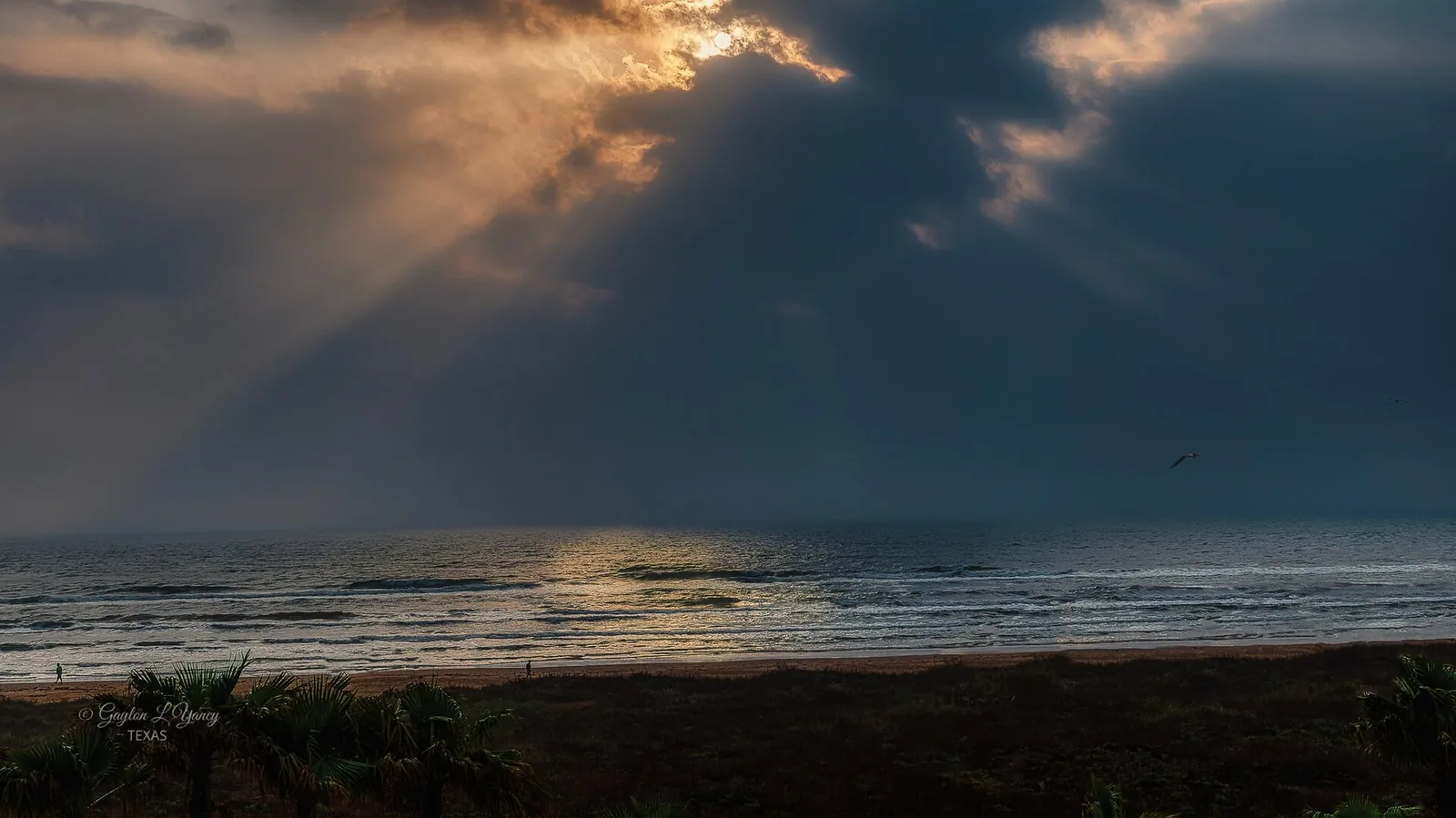 The Complete 2026 Guide to Short-Term Rental Compliance on South Padre Island